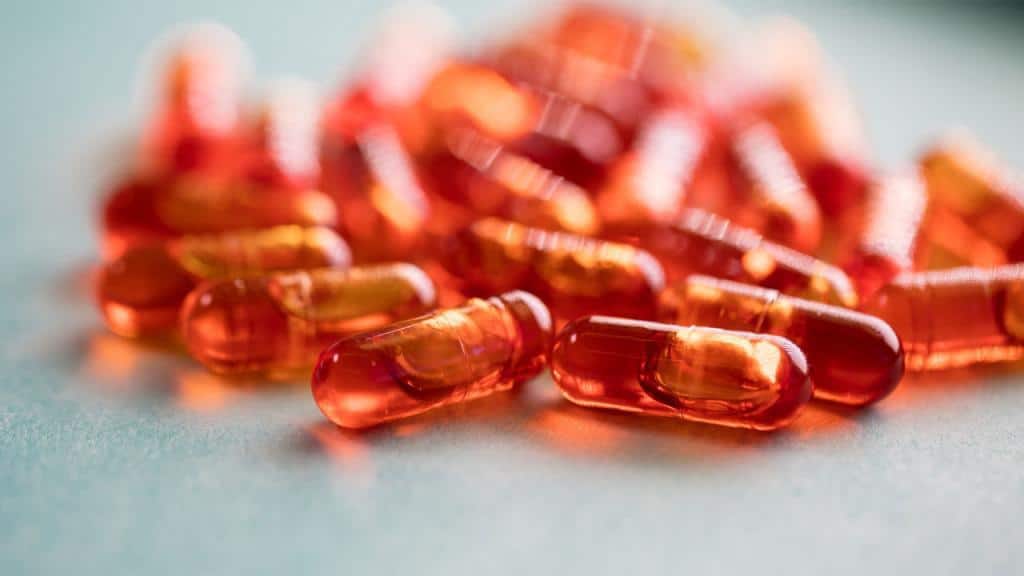 Omega oil from algae takes world by storm