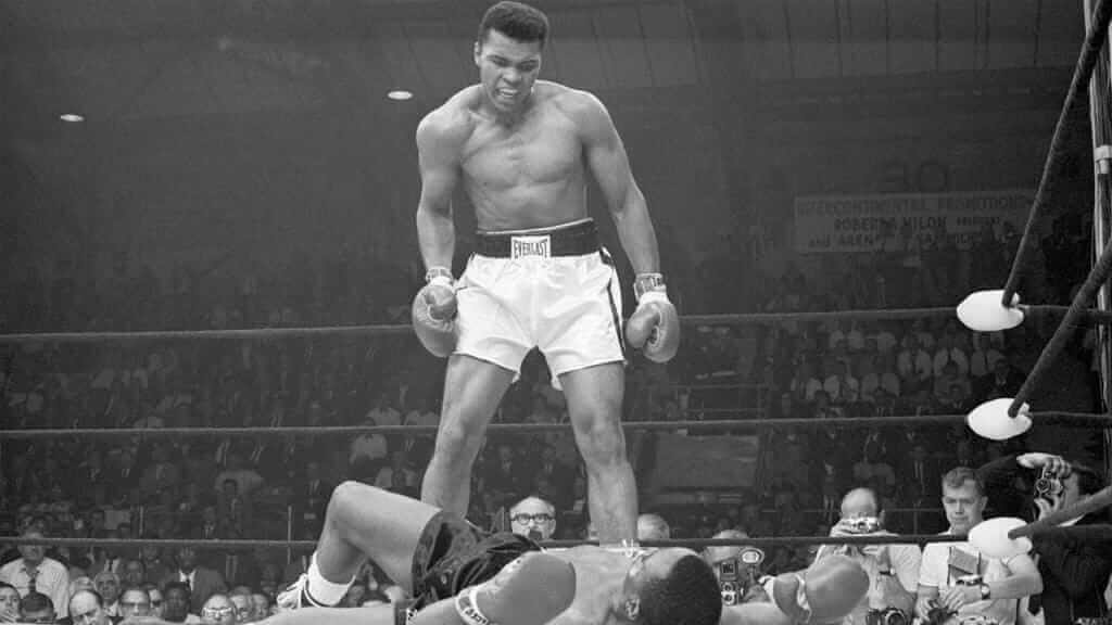 Box clever to champion with your home business